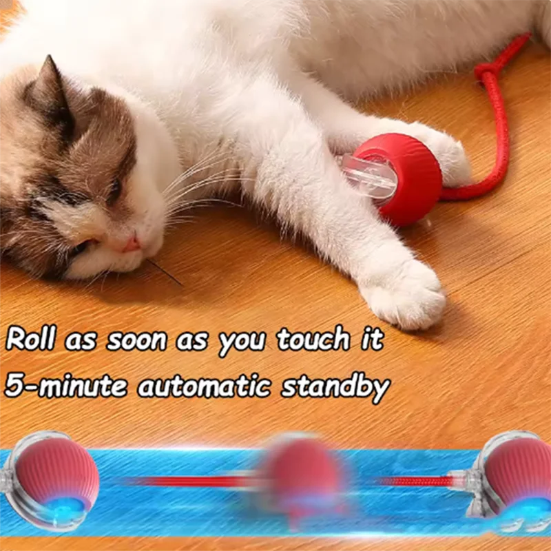 Intelligent Interactive Cat Ball