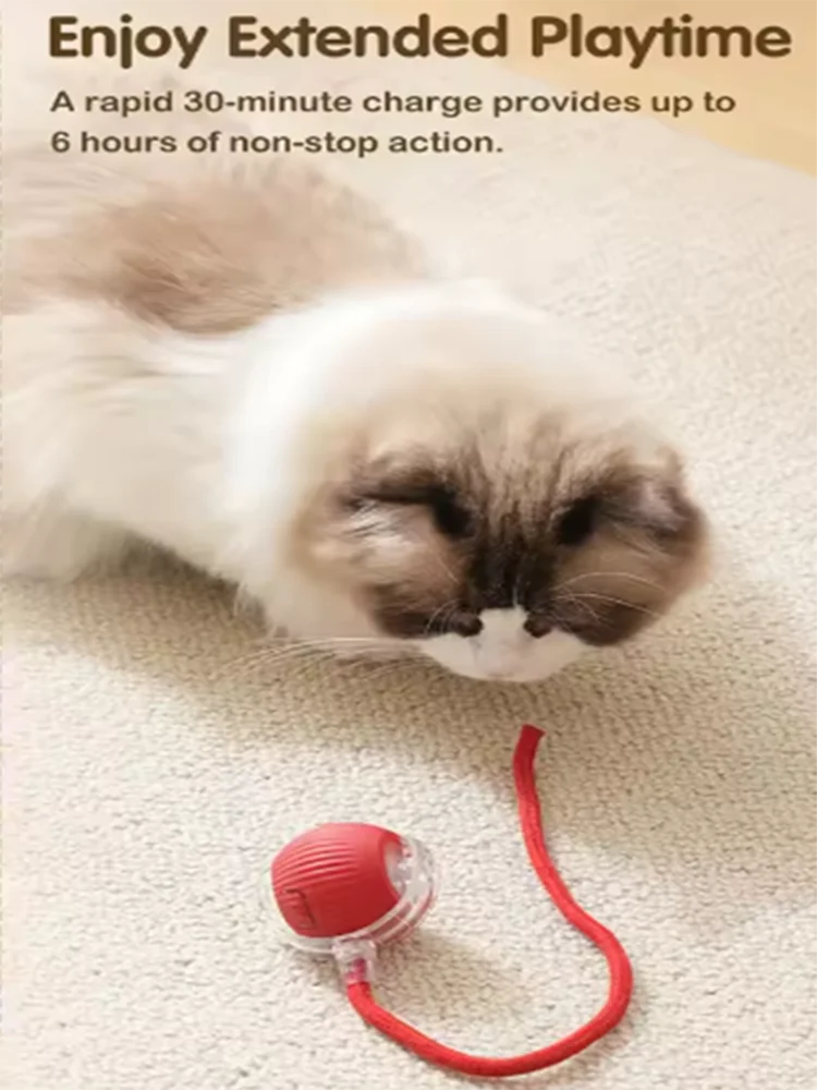 Intelligent Interactive Cat Ball
