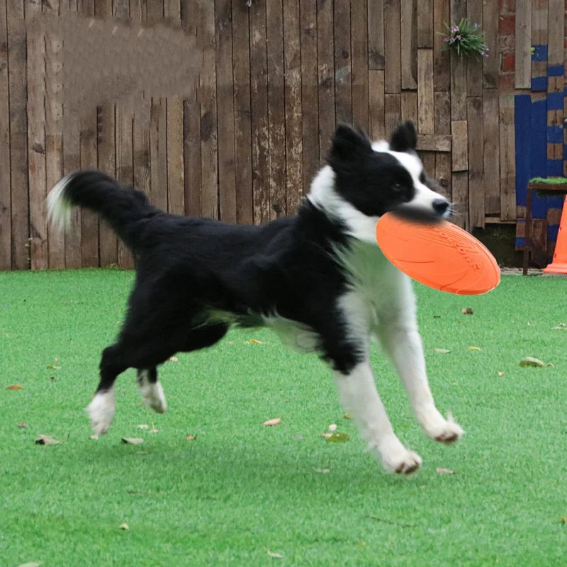 Silicone Flying Disc For Cat And Dog