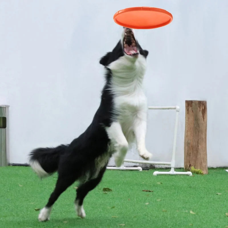 Silicone Flying Disc For Cat And Dog