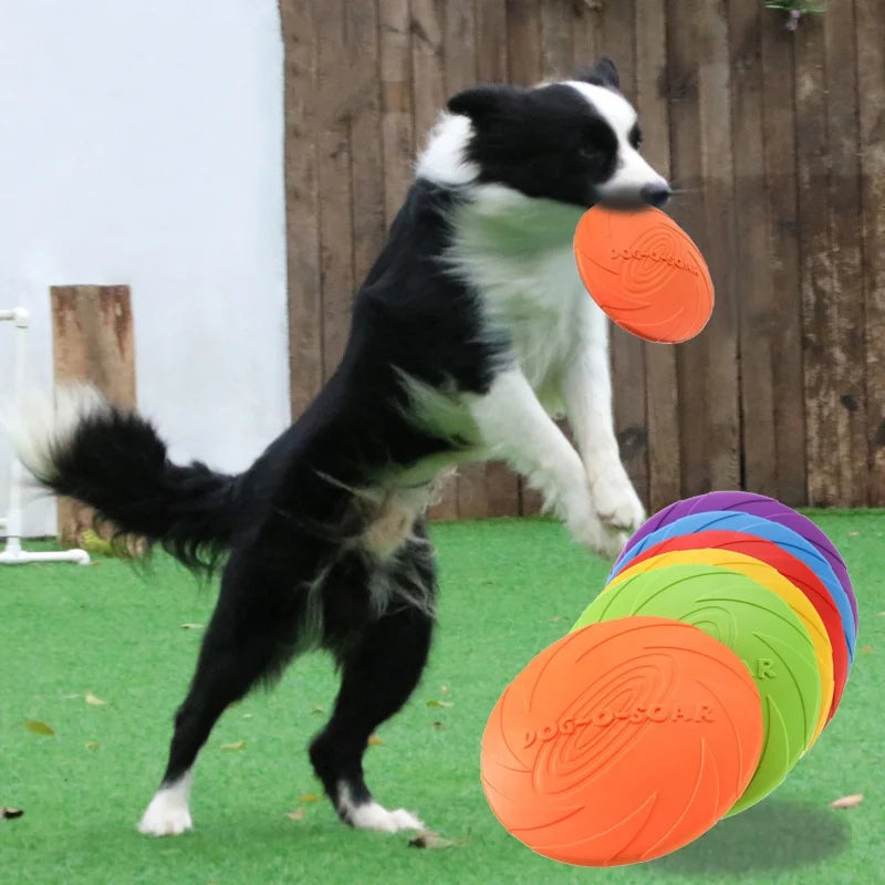 Silicone Flying Disc For Cat And Dog