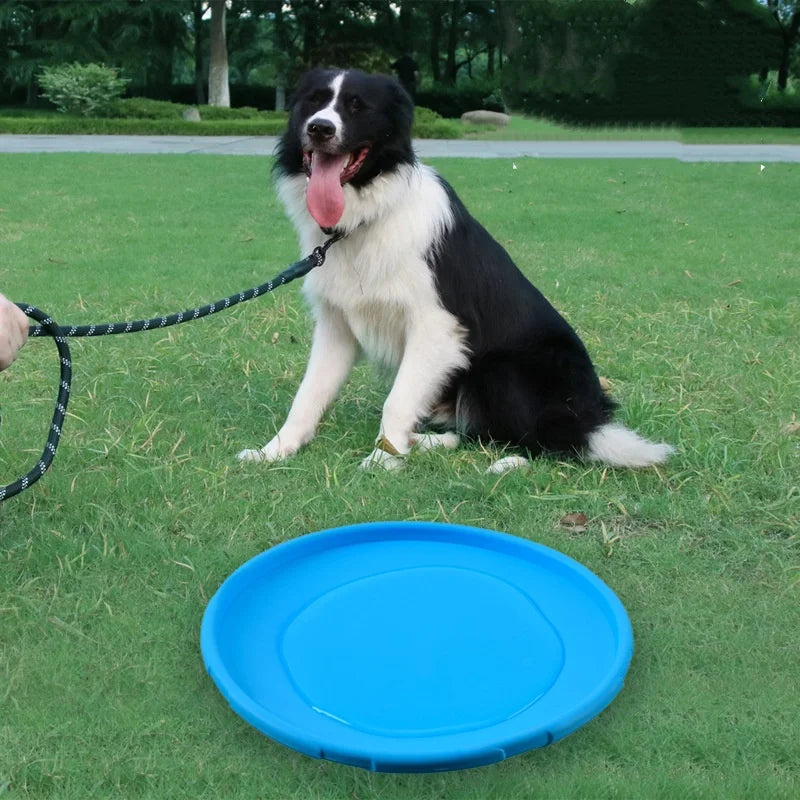 Silicone Flying Disc For Cat And Dog